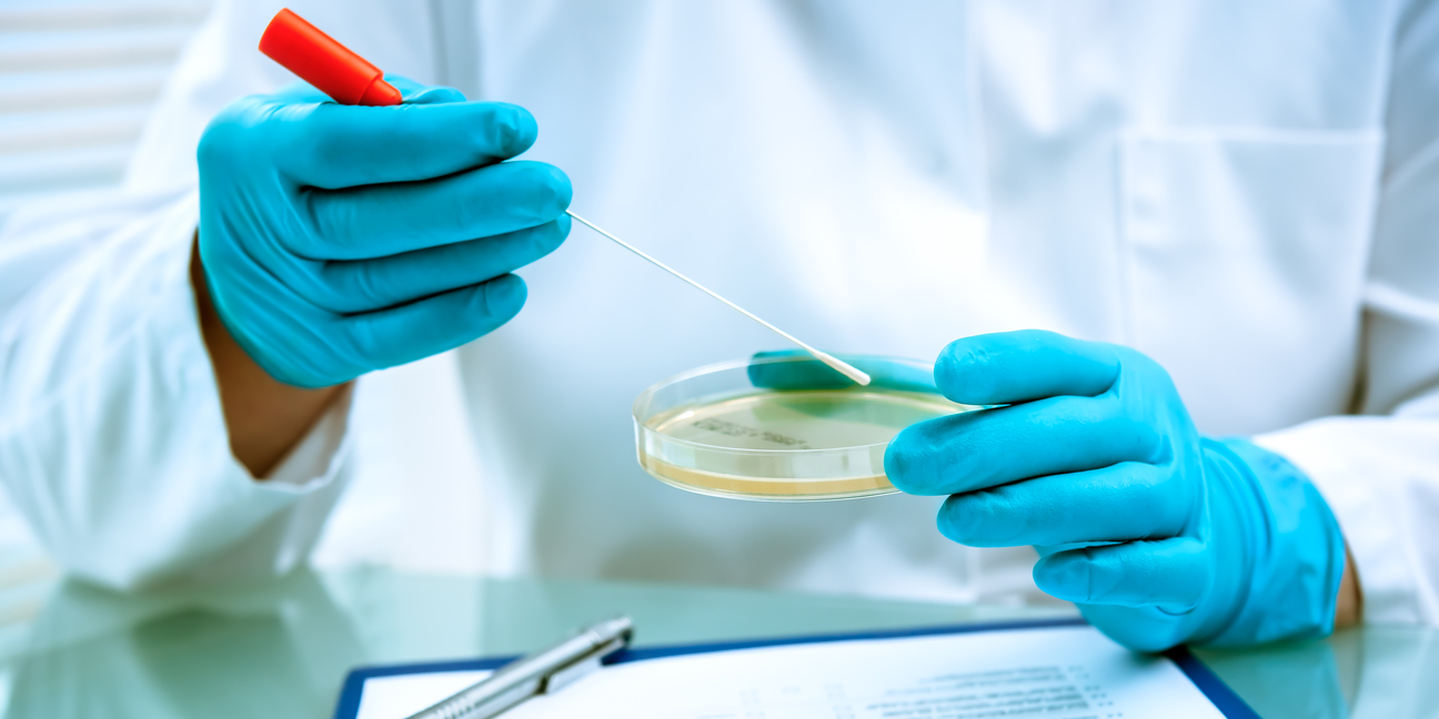 Karriere bei laverana